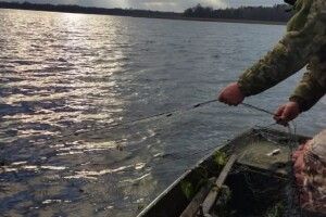 З водойм шацьких озер на Волині витягли браконьєрські сітки