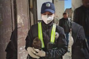 Рівненські патрульні провели спецоперацію «Порятунок Тасі»