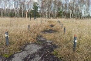 На Волині європейські науковці дослідять більше тисячі гектарів землі, де були масові розстріли євреїв