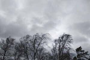 Українців попередили про погіршення погоди 