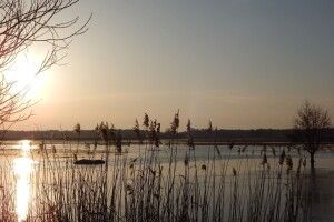 На Волині річка Прип'ять вийшла на заплаву вперше за два роки