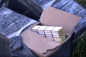 Дельтаплан з сигаретами та контрабандистами прикордонники затримали на Буковині (Відео)