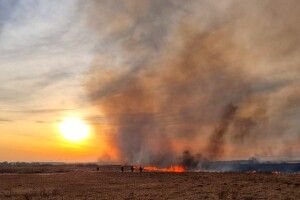 Волинь в диму: в краї повсюдно горить трава