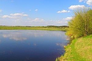 Купатися небезпечно: якість води у водоймах Волині погіршала