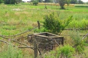 На Львівщиня рятувальники подарували нове життя старому псу