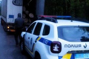 На Волині спинили машину для перевірки і виявили в причіпі крадені дуби (Фото)
