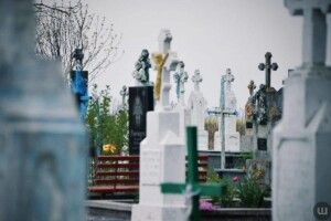 Біля Ковеля вирубають ліс і розширять цинтар (Відео)