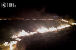 На Волині вогонь із сухостою перекинувся на будівлі (Фото)