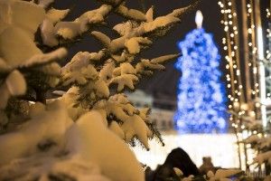 У Чорноморську «роздягнули» новорічну ялинку
