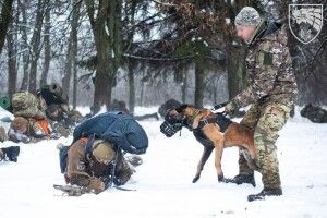 Втрати росіян на війні проти України перевалили за 88 тисяч