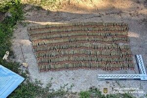 Біля кордону з білоруссю на Рівненщині чоловік знайшов кулі