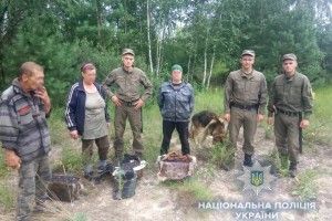 Під Чорнобилем упіймали трьох «ягідників» із чотирма відрами чорниць