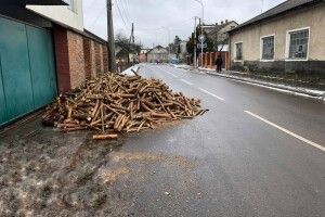 Як покарають чоловіка, який вигрузив деревину на проїжджу частину у Володимирі