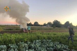 Волинські рятувальники склади протоколи на 7 людей, які палили сухе бадилля (Фото)