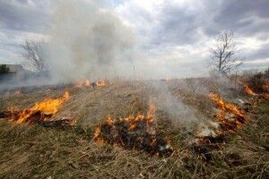 Волинянам повідомили розмір штрафу за спалювання сухої трави