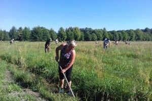 На Волині працівники Нацпарку «Цуманська пуща» озброїлися сапками в ім'я українсько-турецької дружби (Фото)