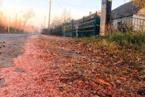 Жителі Волині скаржаться на «червоний снігопад»