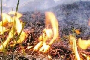 Величезну пожежу в Олешківських пісках загасили