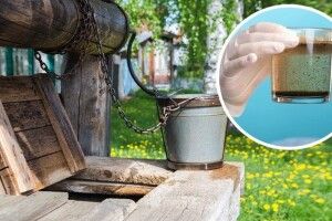 Кринична вода виявилася небезпечною: через суперечку подружжя на Волині викрило проблему