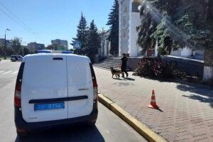 Через підозрілий пакунок на залізничний вокзал Рівного терміново викликали рятувальників та вибухотехніків зі службовими собаками (Фото)