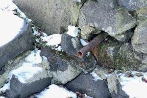 «Джерело майже перестало бігти»: що сталося з Оконськими джерелами на Волині (Відео)