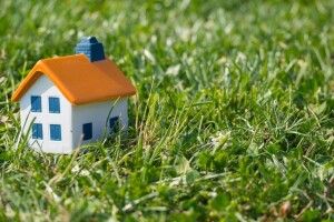 У Луцькому районі підприємство роками не платило за оренду землі