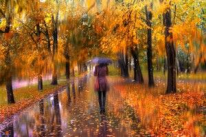 Погода на середу, 6 листопада: хмарно, а часом ще й дощ...