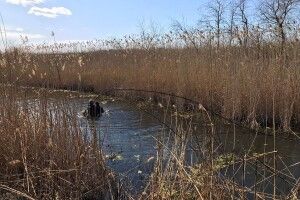 На кордоні з Молдовою виявили спиртопровід