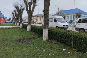 У Ратному стане дуже зелено і затишно 