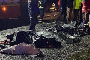 У Туреччині перекинувся автобус: багато загиблих 