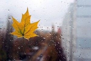 Народний синоптик розповів, якої погоди чекати у вересні, жовтні і листопаді