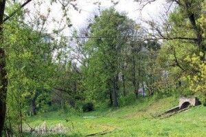 Років 20 тому там дійсно була територія, де гуляли діти: у Луцьку візьмуться за ботанічний сад на Шопена