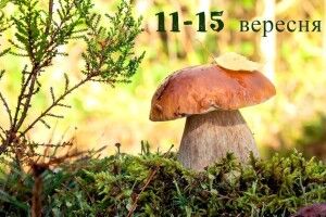 Волинські синоптики розповіли, якою буде погода у Луцьку на День міста