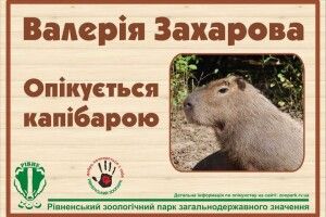 Рівнянка «вдочерила» капібару