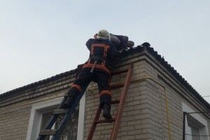 На Волині пенсіонер заліз на дах, а спуститись назад не зміг