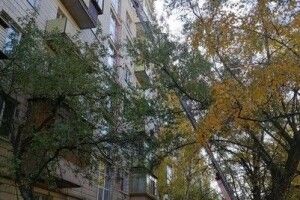 У пожежі в столиці загинув відомий вчений і його дружина