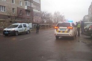 На Волині два екіпажі поліції втихомирювали агресивного водія (Фото)