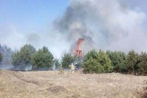 Волинь палає: протягом вихідних ліквідовано 3 пожежі в лісових масивах, 20 пожеж сухотрав’я (Фото)
