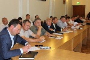 На Волині пасічники та сільгоспвиробники порозумілися