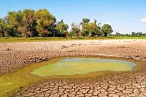 Волинь не потрапила в ТОП найзасушливіших регіонів України