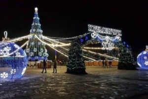 Визначили кращу ялинку України