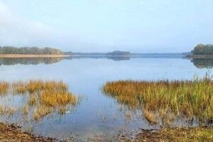 Стали відомі результати аналізу води 8 Шацьких озер