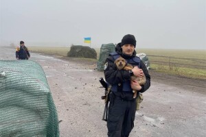 Внаслідок бою у найближчому радіусі центру Баштанки вижив тільки песик