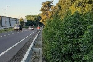 Мешканці Великого Омеляника просять подбати про безпеку пішоходів