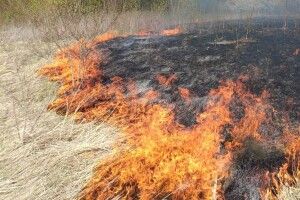 За добу на Волині вигоріло 2 гектари сухої рослинності (Відео)