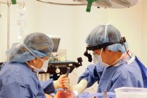 Рівнян безплатно консультуватиме відомий пластичний хірург