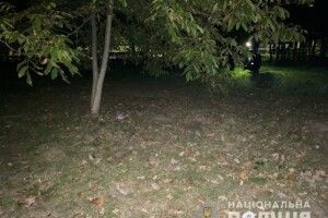 Зґвалтування у луцькому парку: зловмисник переслідував дівчину від магазину