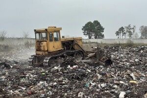 Лучанам лишилося зібрати шість підписів під вимогою перемістити «Юльку-бульдозеристку» і компанію на сміттєзвалище біля села Брище
