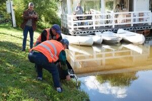 У Центральному парку Луцька зарибили канали 