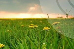 На Волині погода тішить теплом та сонцем